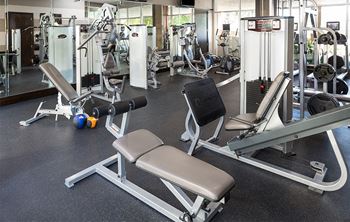 Fitness Center with Cardio and Weight Equipment